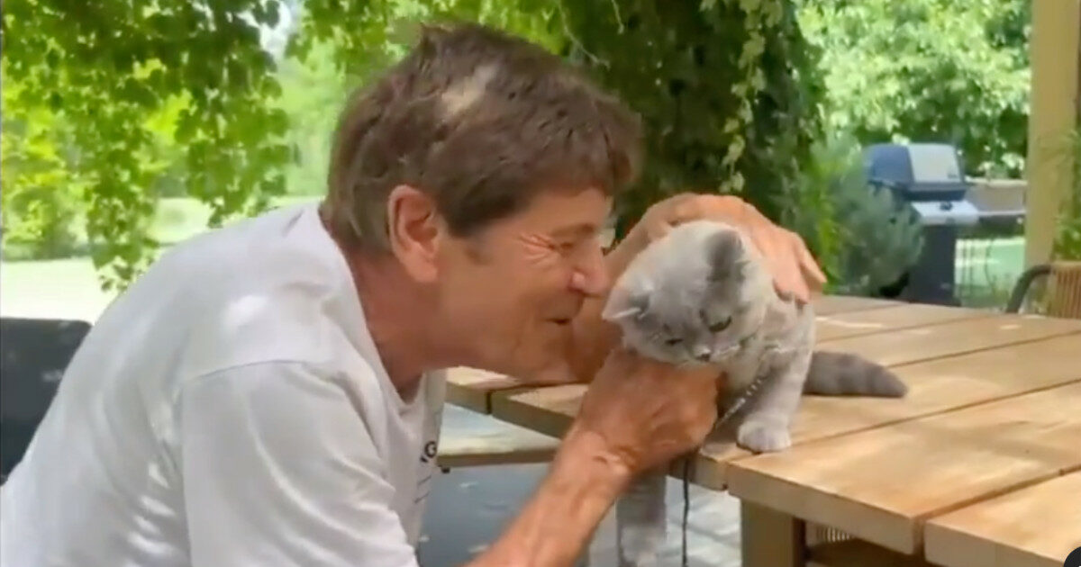 Gianni Morandi, il gatto Lucio è tornato a casa: “Era sparito, pensavamo di averlo perso”