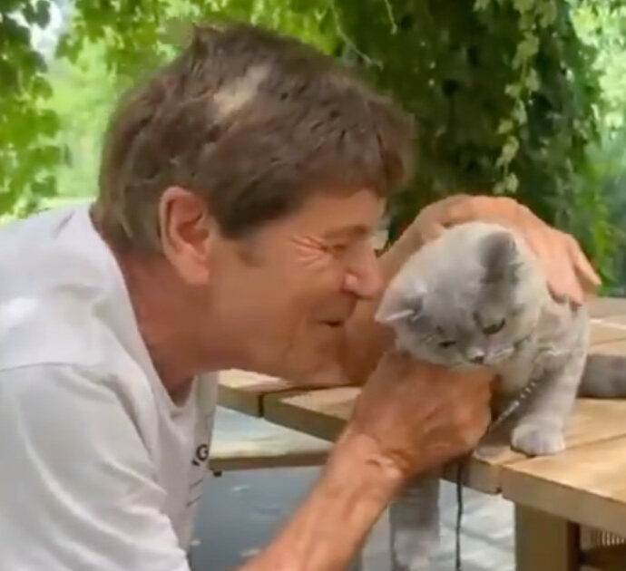 Gianni Morandi, il gatto Lucio è tornato a casa: “Era sparito, pensavamo di averlo perso”