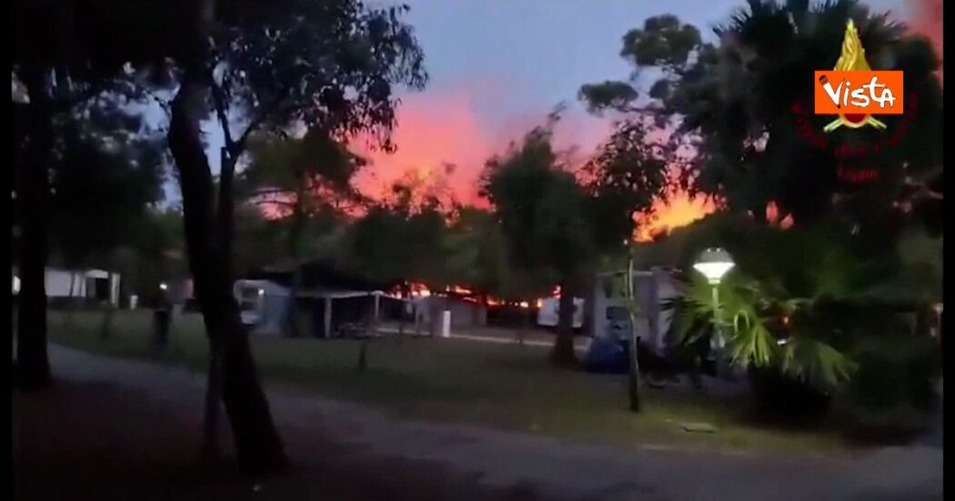 Brucia anche il Gargano, a Vieste evacuati circa duemila ospiti di tre strutture ricettive: le immagini