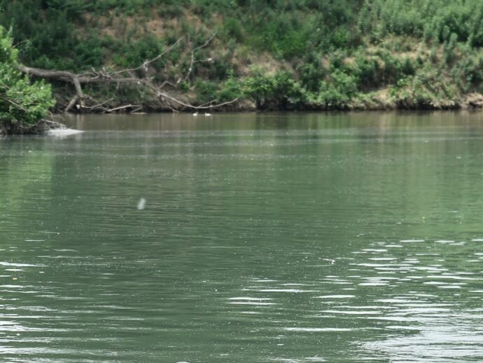 È bello riconoscere diritti alla Natura, ma poi occorrono azioni concrete per rispettarli