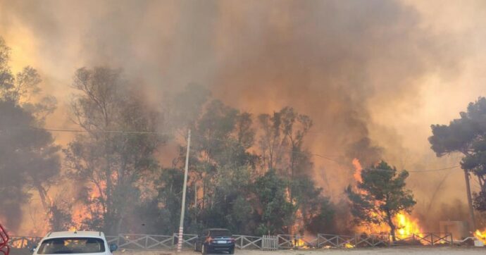 Salento, vasto incendio sul litorale di Ugento: i bagnanti lasciano i lidi, turisti evacuati da una masseria. Il sindaco: “Questo è un crimine”