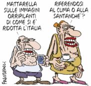 Copertina di La vignetta di Franzaroli