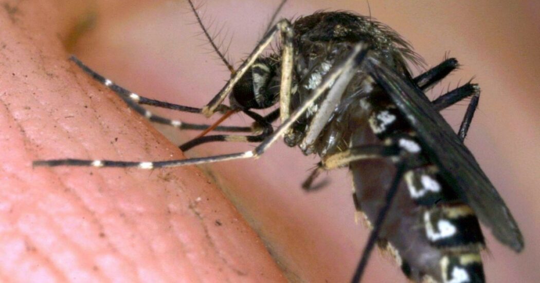 Da importate a epidemiche: la tropicalizzazione del clima apre le porte a nuove malattie infettive. Gli scienziati: “Rischio concreto”