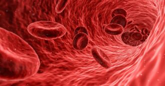 Copertina di Editing genetico e mRna per la modifica delle cellule “in vivo” per le malattie del sangue. Lo studio su Science