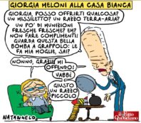 Copertina di Le usanze di casa