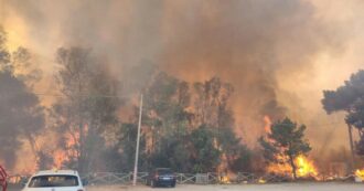 Copertina di Incendi, 53mila ettari devastati dall’inizio del 2023. Bonelli: “Colpa delle misure insufficienti, risorse finanziarie rivolte altrove”