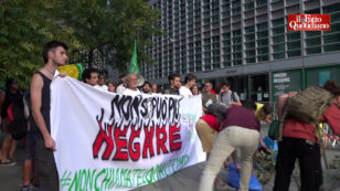 Copertina di “Le lacrime di Pichetto Fratin sono ipocrite, il governo fa propaganda negazionista”: la protesta dei Fridays for Future in Lombardia