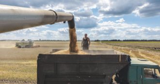 Copertina di Salgono i prezzi del grano e l’Italia fa la protezionista
