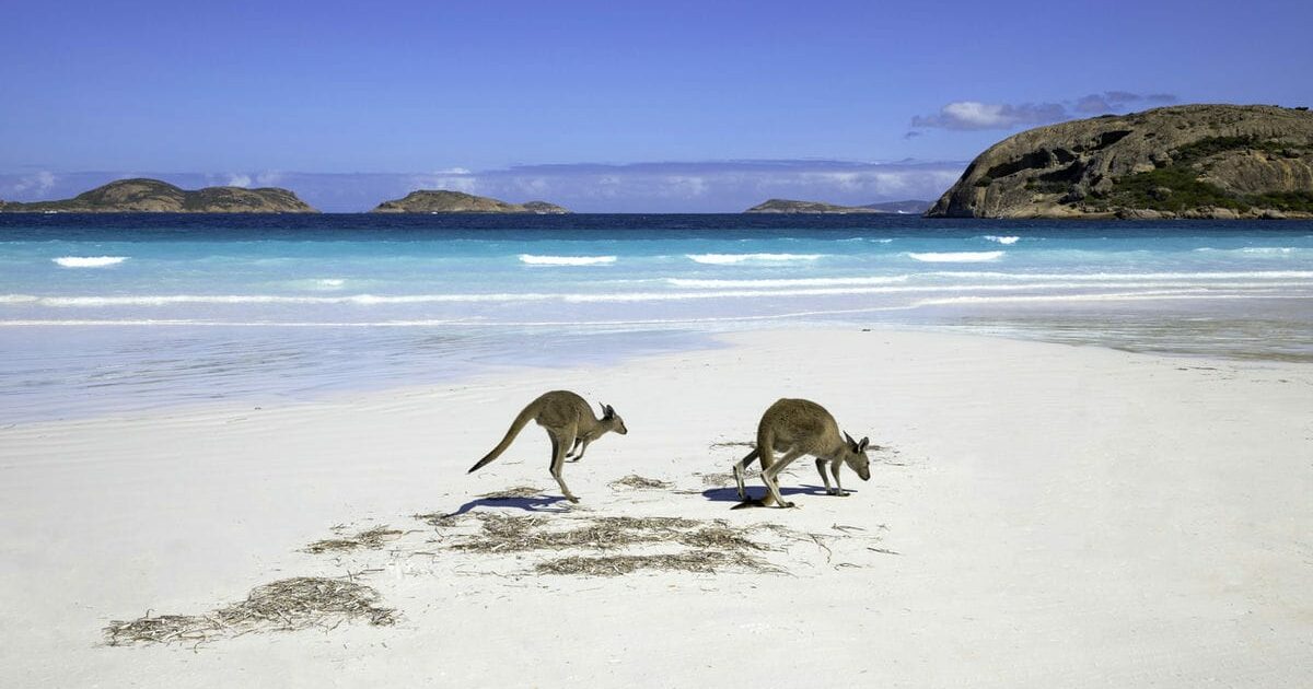 Australia, un sogno che si avvera