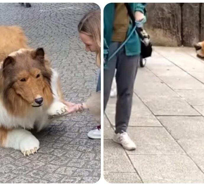 Spende 13mila euro per trasformarsi in cane e fa la sua prima passeggiata a quattro zampe in mezzo a quelli veri: “Non lo dico agli amici, ho paura pensino che sono strano”