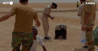 Copertina di Migranti sfiniti dal caldo e dalla sete nel deserto tra Tunisia e Libia: così vengono assistiti dalla guardia di frontiera libica – Video