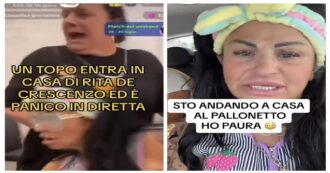 Copertina di Rita De Crescenzo, un topo s’intrufola durante la diretta e la tiktoker fugge di casa: “Non torno, ho la fobia”