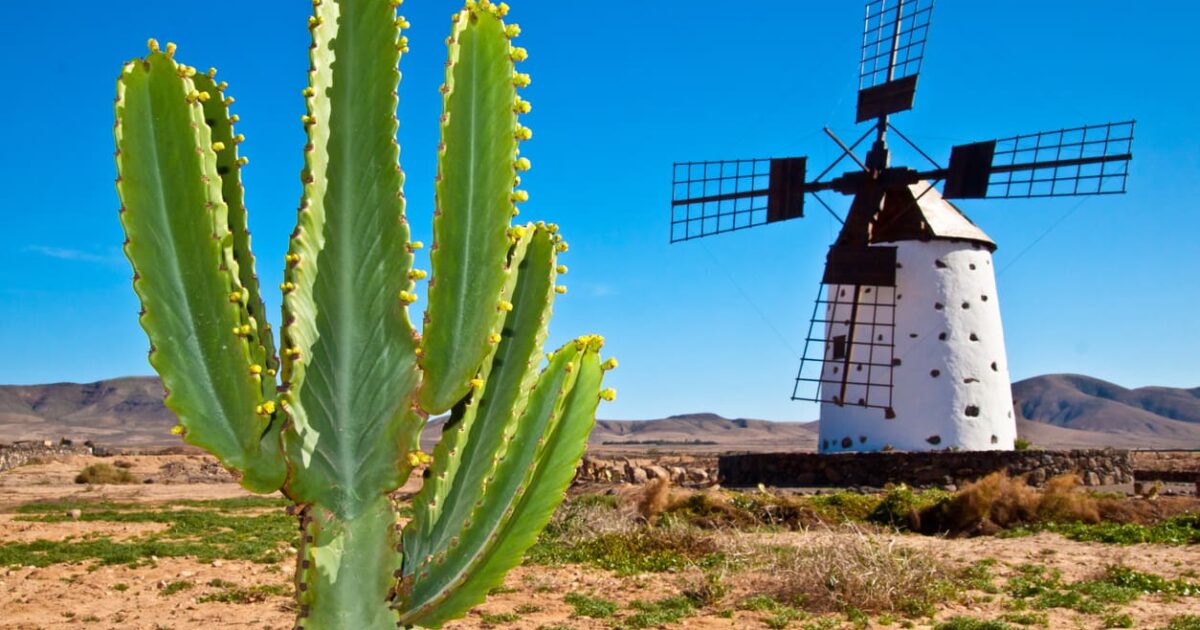 Fuerteventura, l’isola dell’eterna primavera