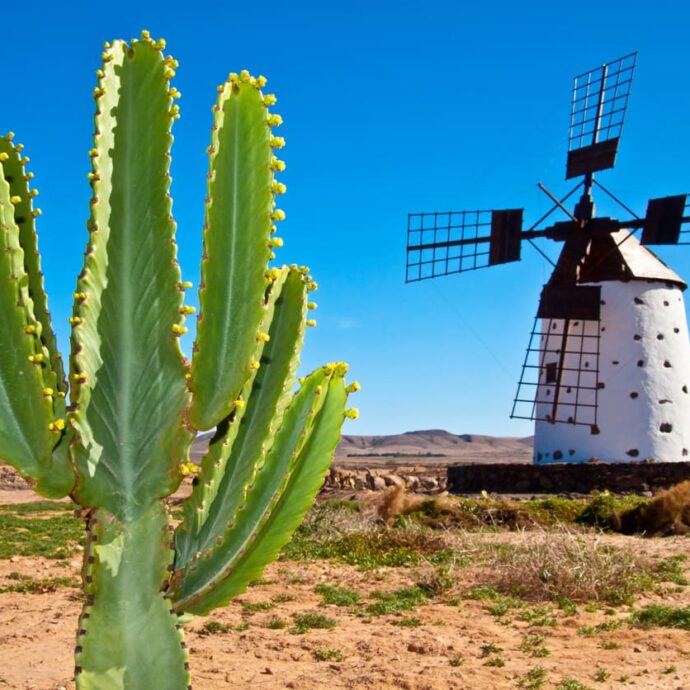 Fuerteventura, l’isola dell’eterna primavera