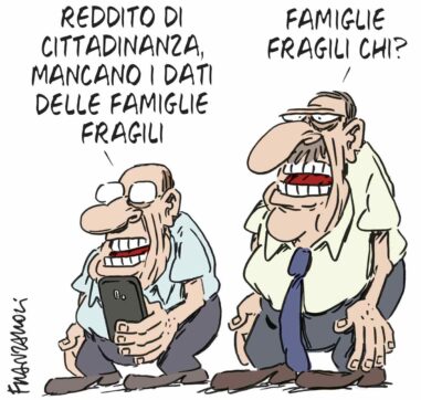 Copertina di La vignetta di Franzaroli