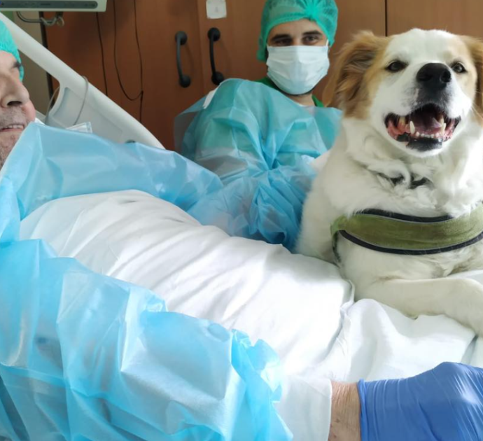 Ricoverato in ospedale da quasi un anno chiede di rivedere il proprio cane: “Anche il personale si è commosso”