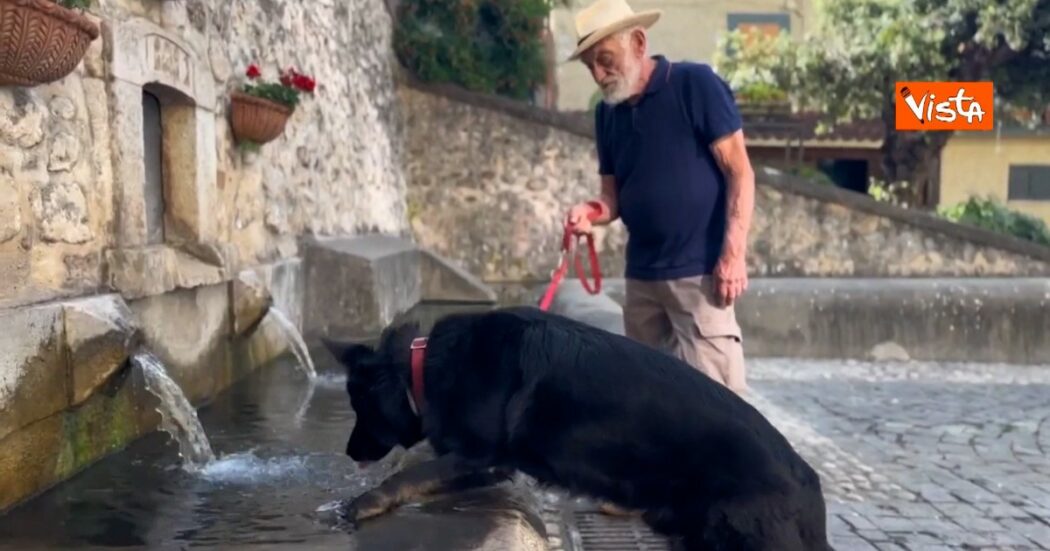 “L’amicizia è una cosa seria”: lo spot della Polizia contro l’abbandono dei cani in estate – Video