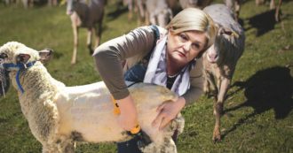 Copertina di Occupati, truffe, conti: Calderone si assolve sul Reddito di cittadinanza a suon di bugie