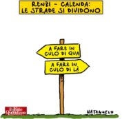 Copertina di Ognuno per la sua strada