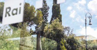 Copertina di “La Rai lottizzata scorda il merito. Un errore il talk a De Girolamo”