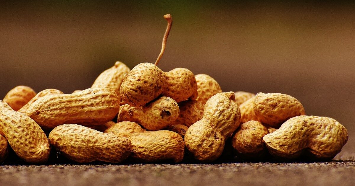 Passeggera allergica alle noccioline compra tutti i pacchetti sull’aereo: “Non mi hanno lasciato altra scelta”