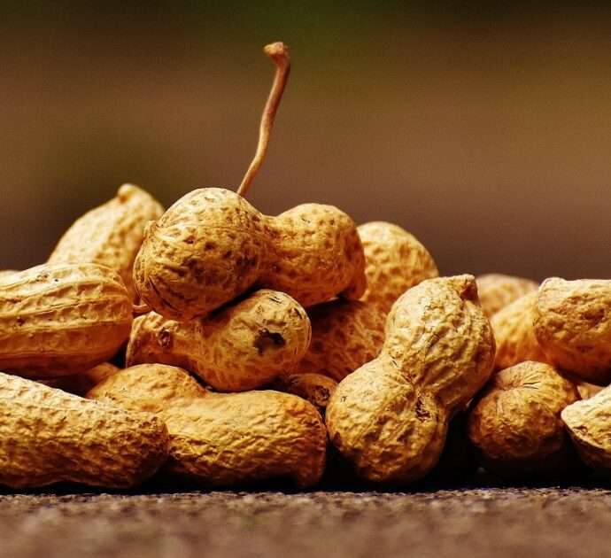 Passeggera allergica alle noccioline compra tutti i pacchetti sull’aereo: “Non mi hanno lasciato altra scelta”