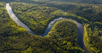 Copertina di “La foresta vergine non esiste, anche l’Amazzonia è collaborazione tra umani e natura”
