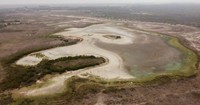Spagna, di nuovo a secco la laguna permanente del Parco del Doñana in Andalucia. “Ogni anno episodi più gravi di siccità estrema”