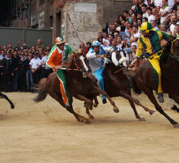 Palio di Siena 2024, è il giorno della “Carriera” della Madonna di Provenzano: la Giraffa trionfa nella Provaccia, il Nicchio vince la prova generale