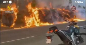 Copertina di Incendi a Tenerife, in fiamme oltre 800 ettari di terreno: evacuati gli abitanti di una zona rurale dell’isola – Video