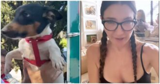 Copertina di Elisabetta Franchi su tutte le furie: “Che vergogna. Il mio cane è scappato e i vigili mi hanno fatto la multa perché non aveva il guinzaglio, la museruola”