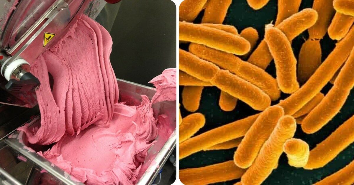 Macchine per il gelato contaminate: il batterio Listeria uccide tre persone