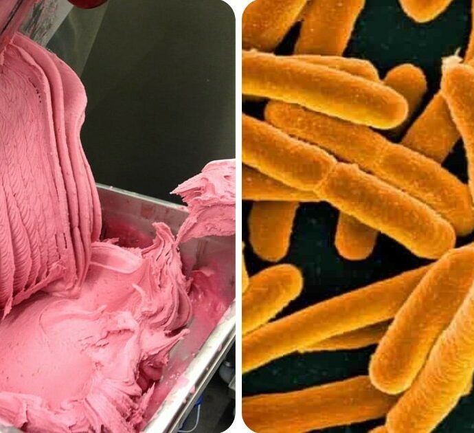 Macchine per il gelato contaminate: il batterio Listeria uccide tre persone