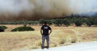 Copertina di Grecia, almeno 26 migranti (di cui 2 bambini) sono morti carbonizzati negli incendi nelle foreste al confine con la Turchia