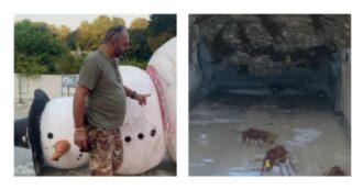 Copertina di A Roma torna la Vespa Orientalis: più di 400 dentro al pupazzo di neve di un luna park. L’esperto: “Ecco dove nidifica, come difendersi e quando ci sarà il picco”