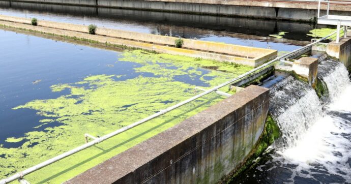 Depurazione acque, per la struttura che deve evitare l’infrazione Ue il governo Meloni piazza politici senza competenze al posto dei tecnici