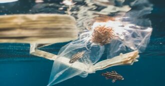 Copertina di Oceani, Sabrina Speich: “Condizionano le nostre vite: stiamo uccidendo la meraviglia con l’inquinamento”