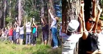 Copertina di Legati agli alberi: a Cortina il flash mob contro il disboscamento per la pista da bob – Video