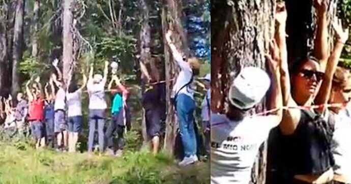 Legati agli alberi: a Cortina il flash mob contro il disboscamento per la pista da bob – Video