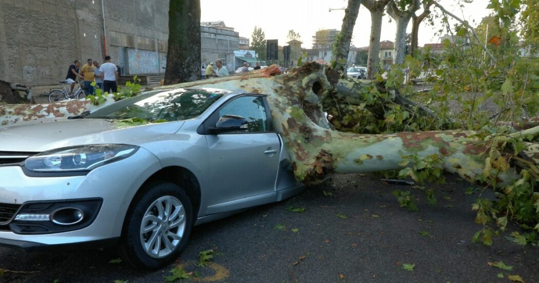 A Vigevano si contano i danni del violento temporale che ha colpito Piemonte e Lombardia: auto in transito schiacciata da un albero