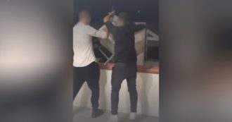 Anagni, 18enni uccidono a calci una capretta: 2 ragazzi indagati