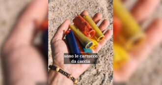 Copertina di Cartucce da caccia lungo le spiagge dell’Adriatico, la video-denuncia: “Trovate a centinaia, perché non vengono raccolte?”