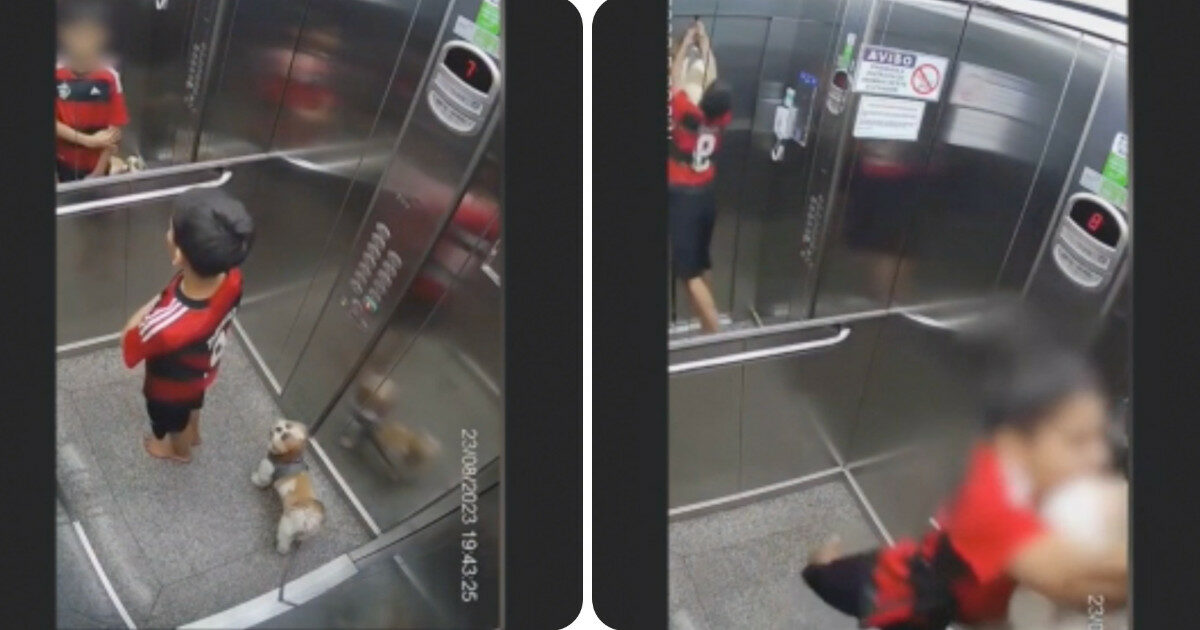 Il guinzaglio si incastra nell’ascensore e il cane viene sbalzato in aria: ecco come il bambino di 11 anni lo salva dall’impiccagione
