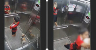 Copertina di Il guinzaglio si incastra nell’ascensore e il cane viene sbalzato in aria: ecco come il bambino di 11 anni lo salva dall’impiccagione