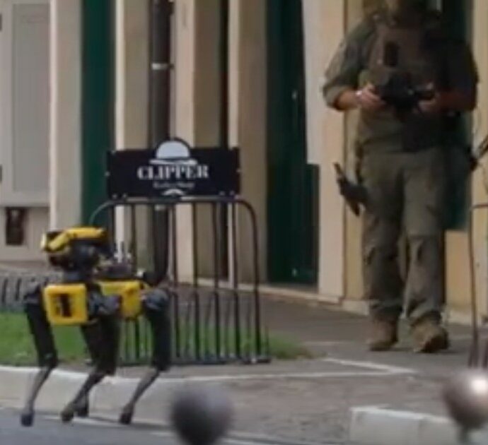 Disobbedienza artificiale in carne e…. Metallo: il cane robot che non si spegne mai. Ecco come funziona