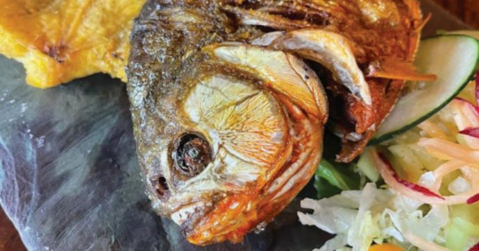 Copertina di Amazzonia, piranha secchi e fritti alla fermata “Leticia”