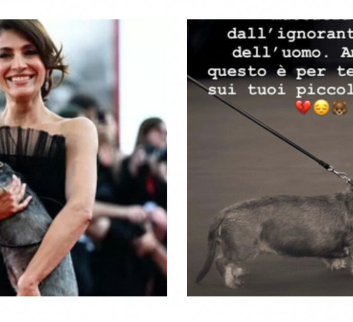 Caterina Murino sfila con il bassotto Sole ricorda l’orsa uccisa: “Per tutti gli animali massacrati. Per te Amarena, veglia sui tuoi piccoli adesso”