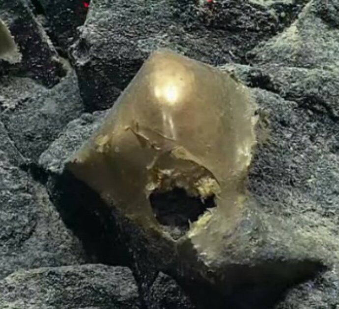 Trovato uno “spaventoso uovo d’oro” sul fondo dell’Oceano Pacifico: ecco di che cosa si tratta