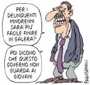 Copertina di La vignetta di Franzaroli