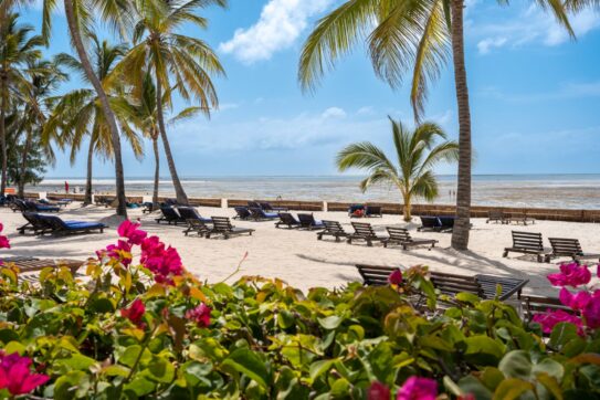 Watamu, la meraviglia sopra e sotto l’acqua